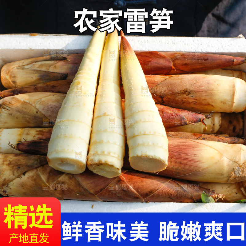 箱子里的雷笋