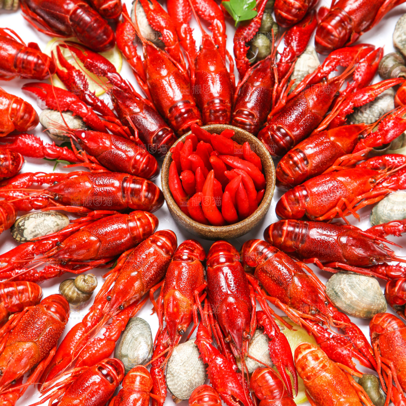 小龙虾背景纹理