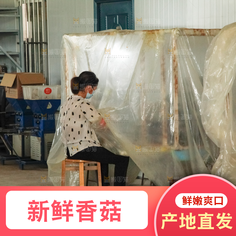 香菇种植管理