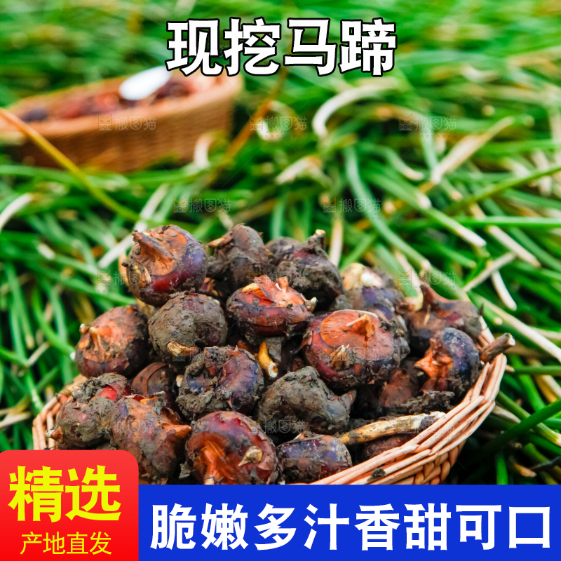 篮子里装着马蹄