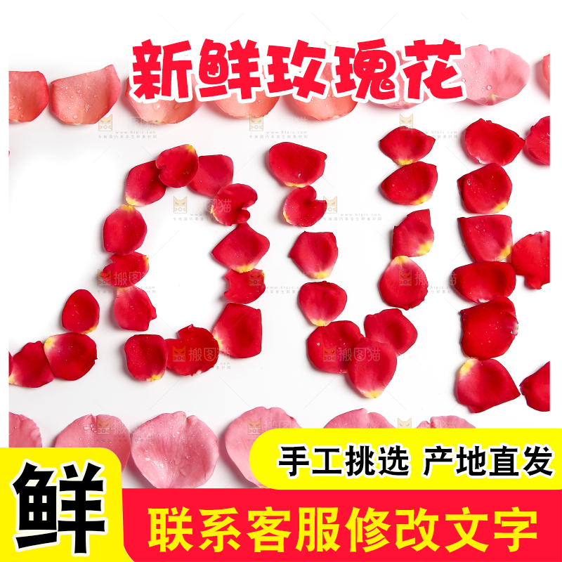 白底上的玫瑰花瓣