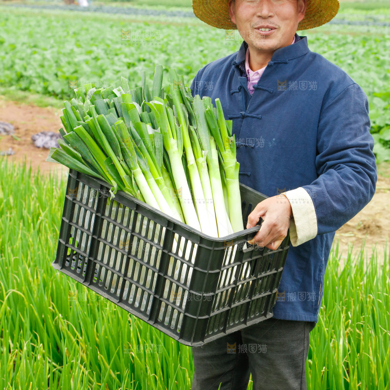 农民手里拿着大葱