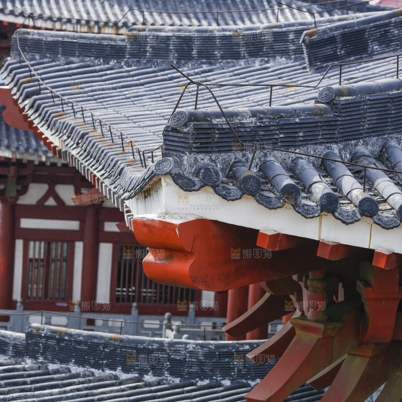 建筑的屋顶
