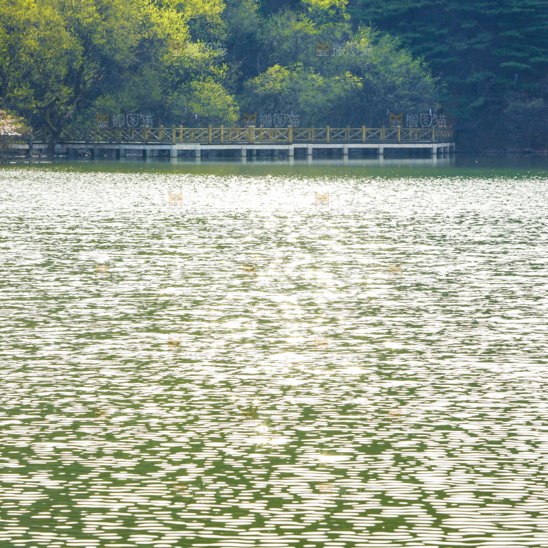 湖泊里的水