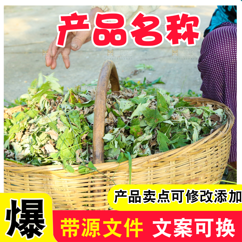 老人正在摘艾蒿