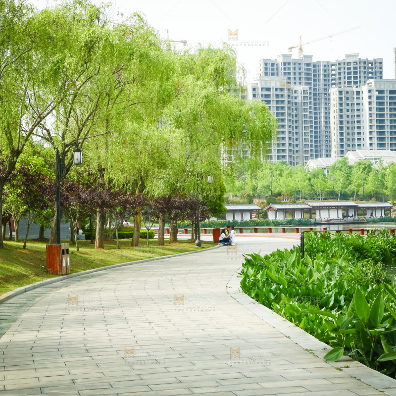 河边小路