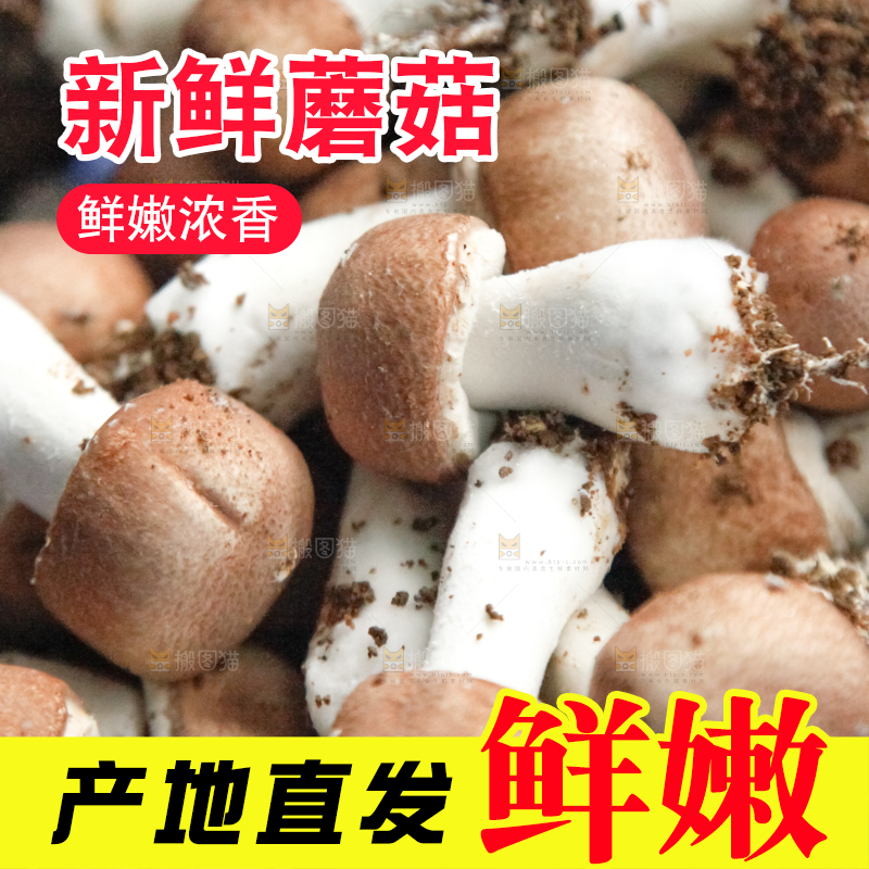 框子里装着小蘑菇