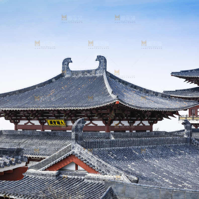 建筑的屋顶