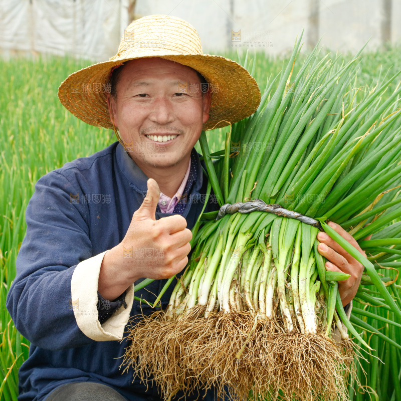 农民手里拿着大葱