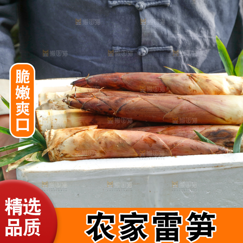 箱子里的雷笋