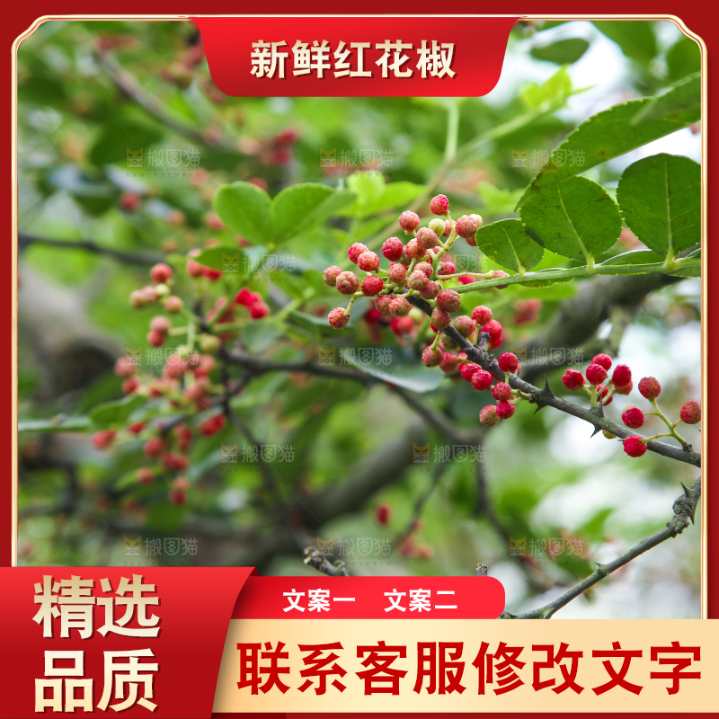 树上的花椒