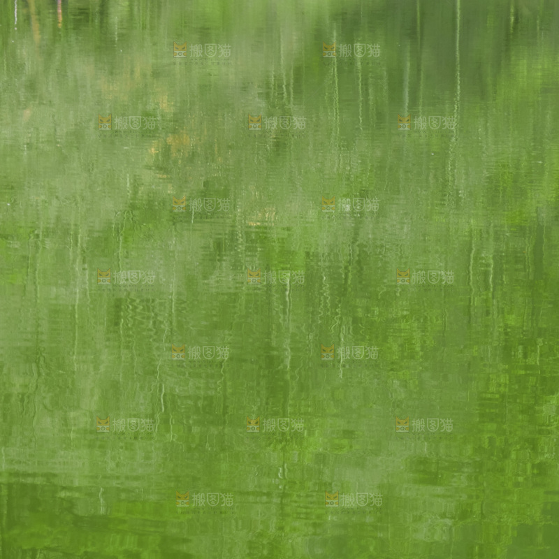 湖泊里的水