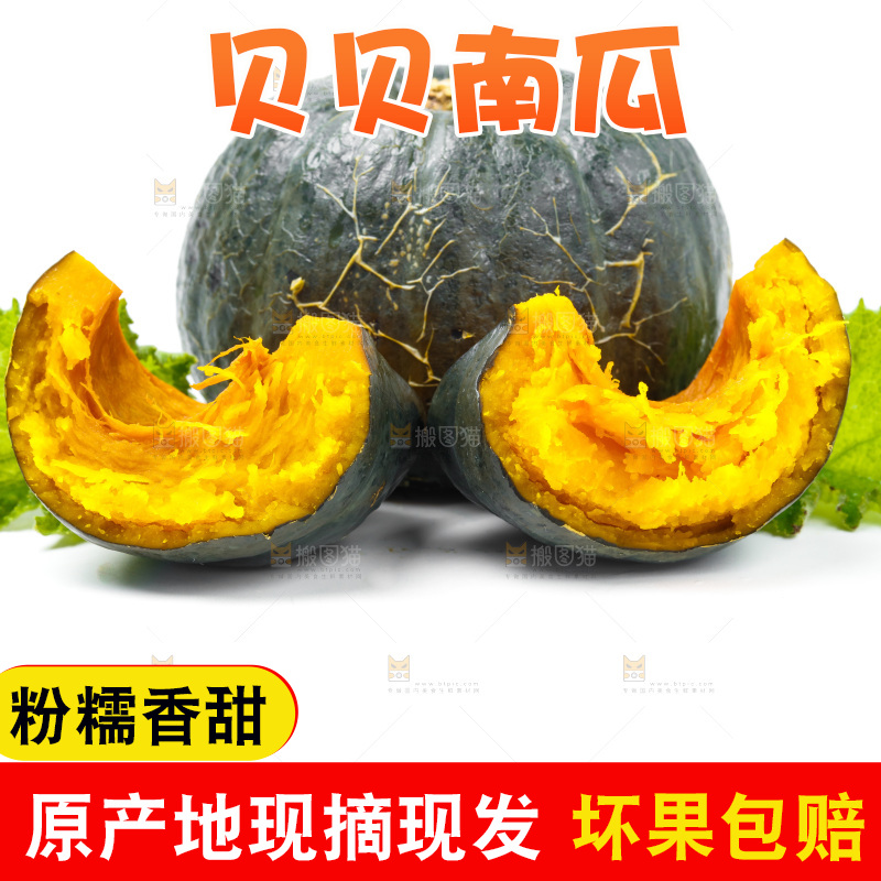 白底上放着贝贝小南瓜
