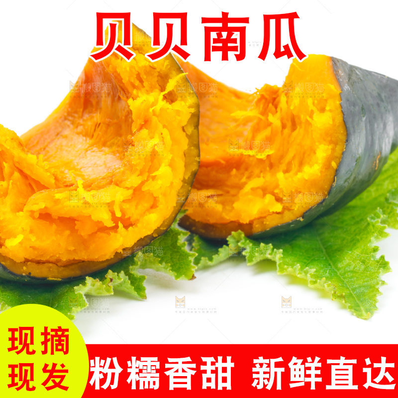 白底上放着贝贝小南瓜