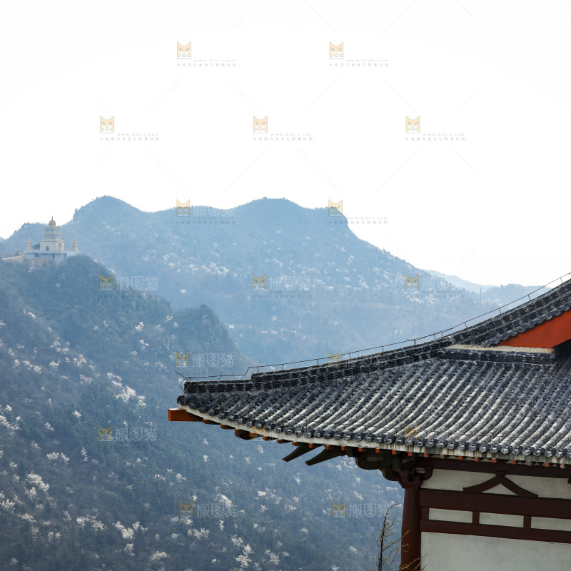 建筑的屋顶