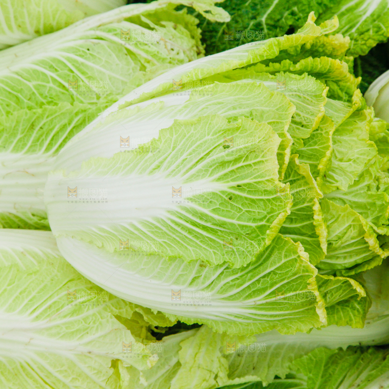 地上放着新鲜白菜
