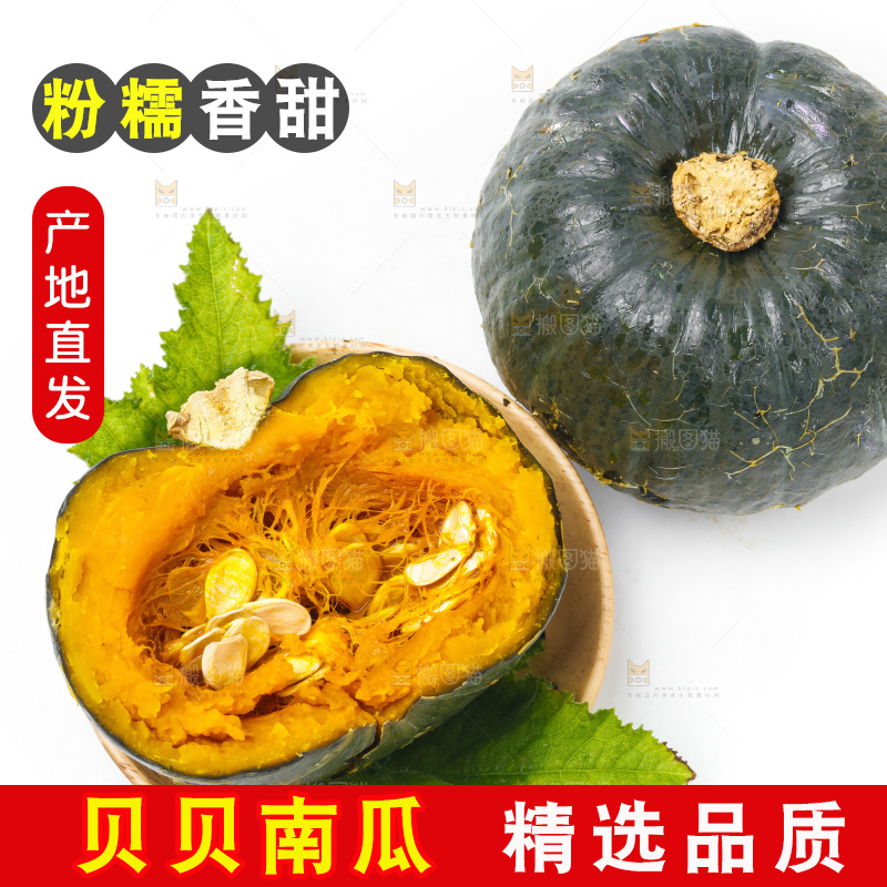 白底上摆放着绿贝贝南瓜