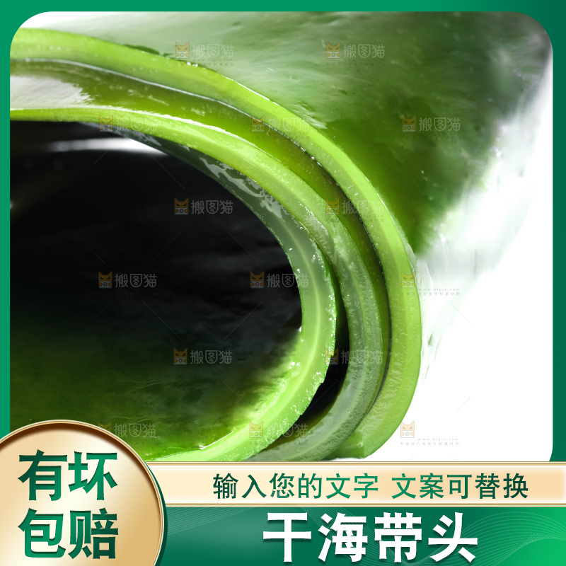 白底上摆放着新鲜海带