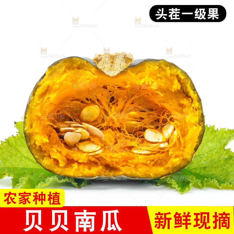 白底上放着贝贝小南瓜