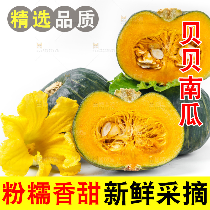 白底上摆放着贝贝南瓜