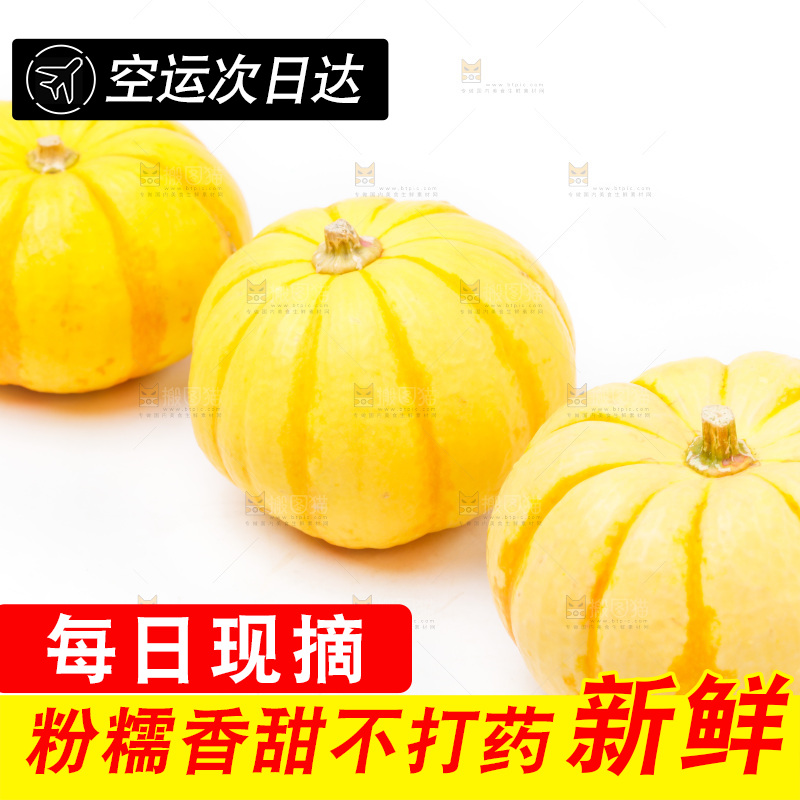 白底上放着金银桔南瓜