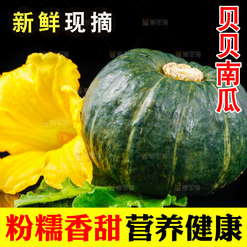 深底上摆放着贝贝小南瓜