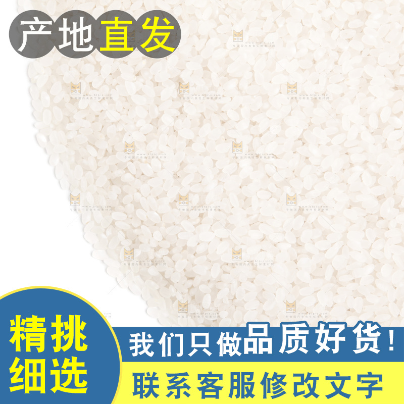 白底上的大米
