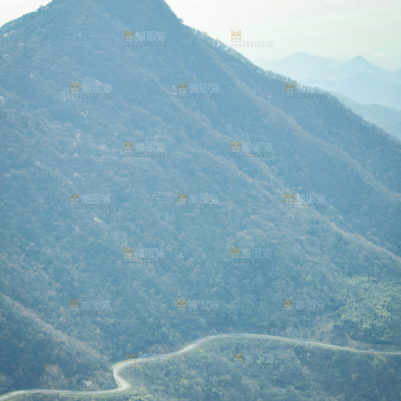 山上的绿植