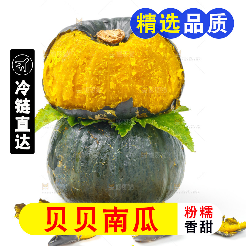 白底上放着贝贝小南瓜