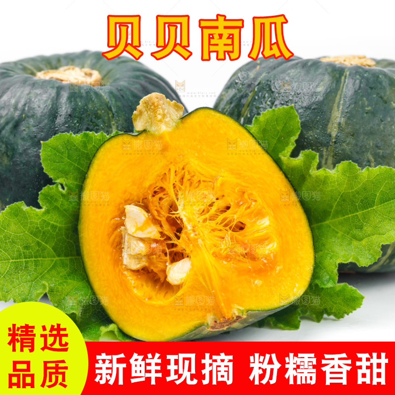 白底上摆放着绿贝贝南瓜