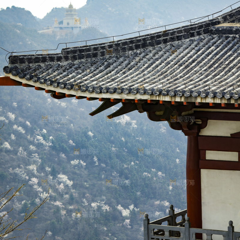 建筑的屋顶