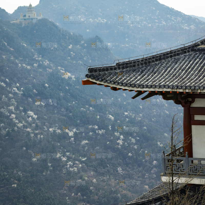 建筑的屋顶