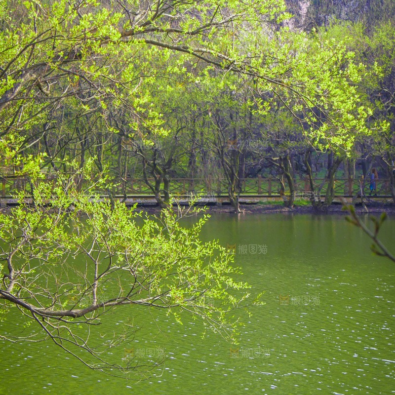 湖泊里的水