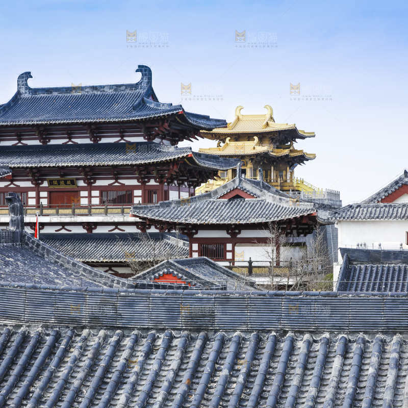 建筑的屋顶