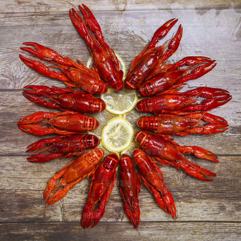 小龙虾背景纹理