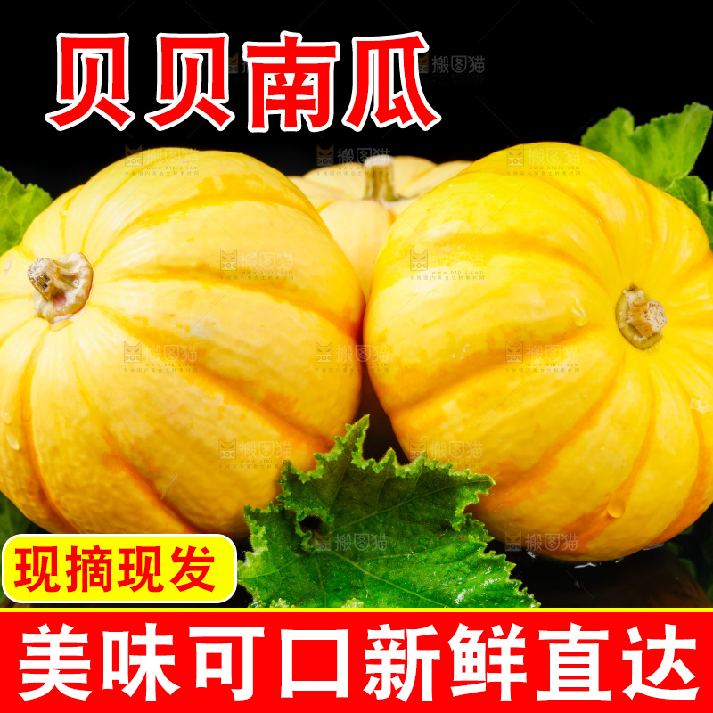 黑底上摆放着金银桔南瓜