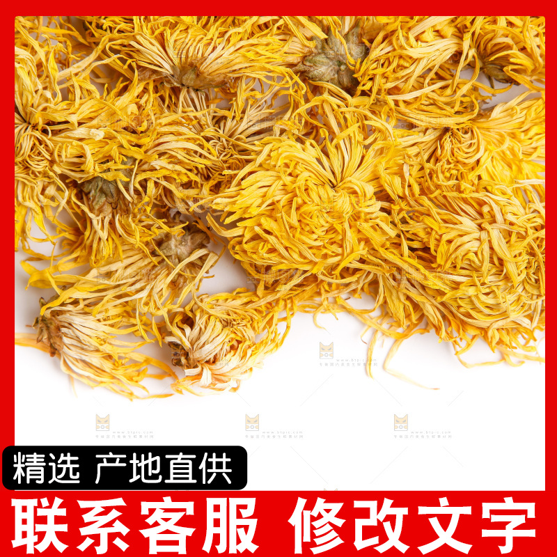 白底上摆放着金丝皇菊