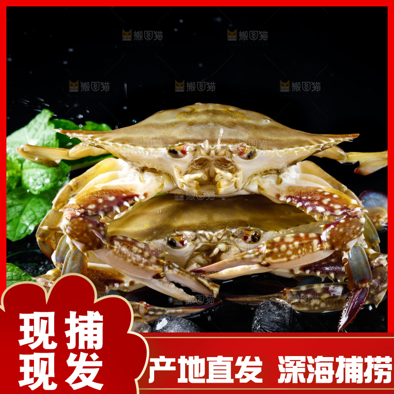 黑底上摆放着海螃蟹