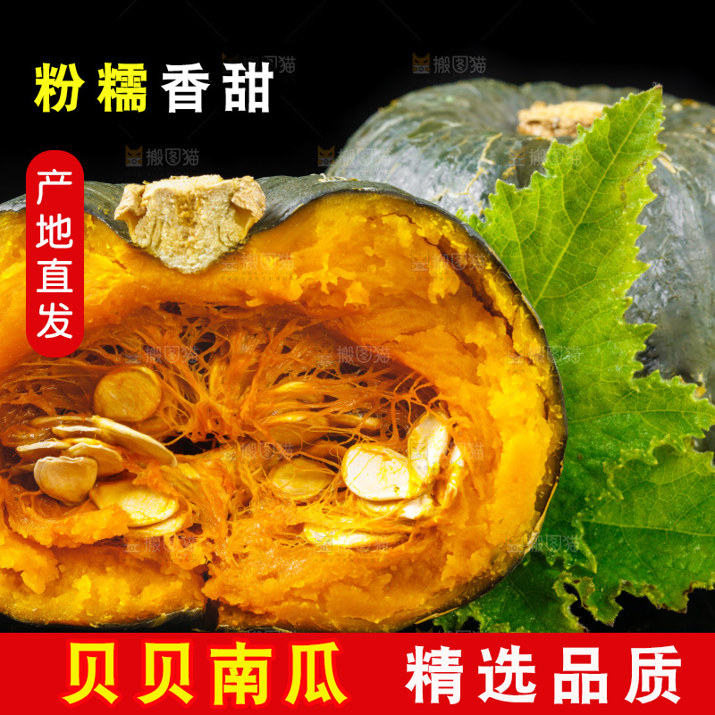 黑底上摆放着绿贝贝南瓜