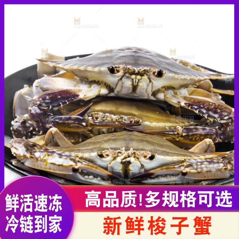 锅里摆放着新鲜梭子蟹
