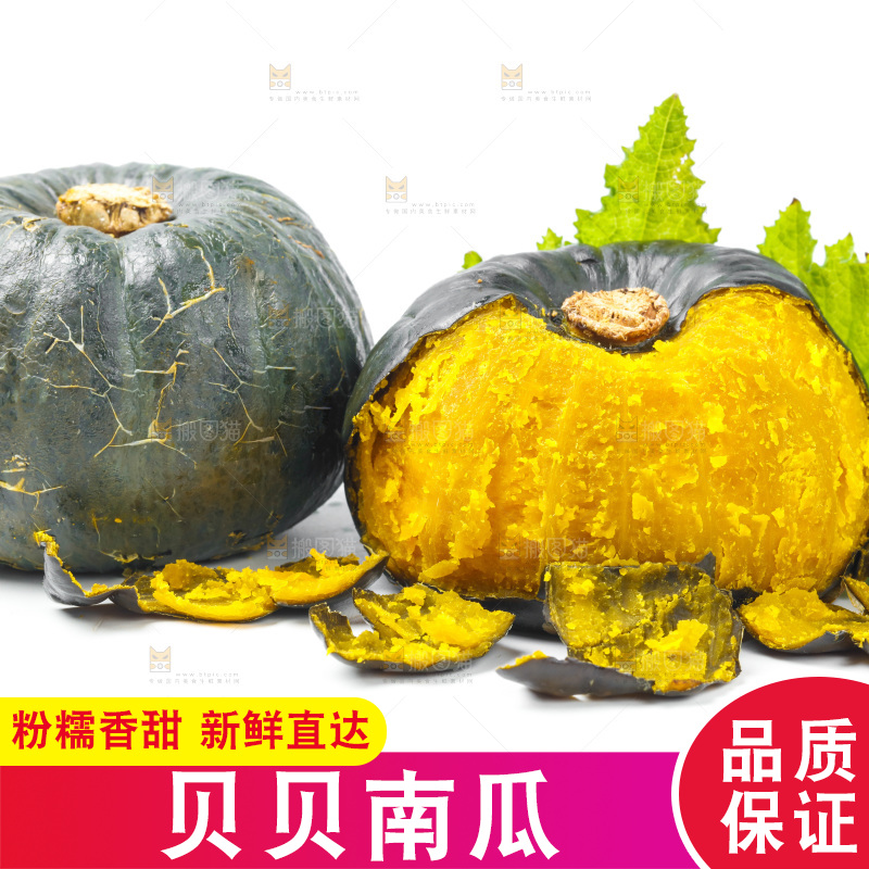 白底上摆放着板栗南瓜