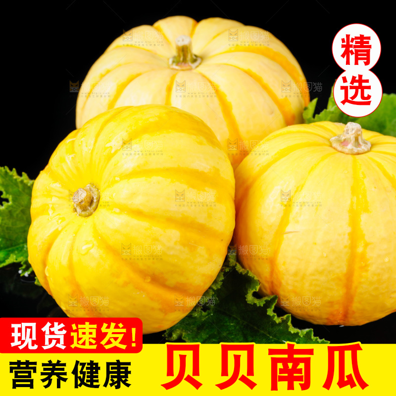 黑底上摆放着金银桔南瓜