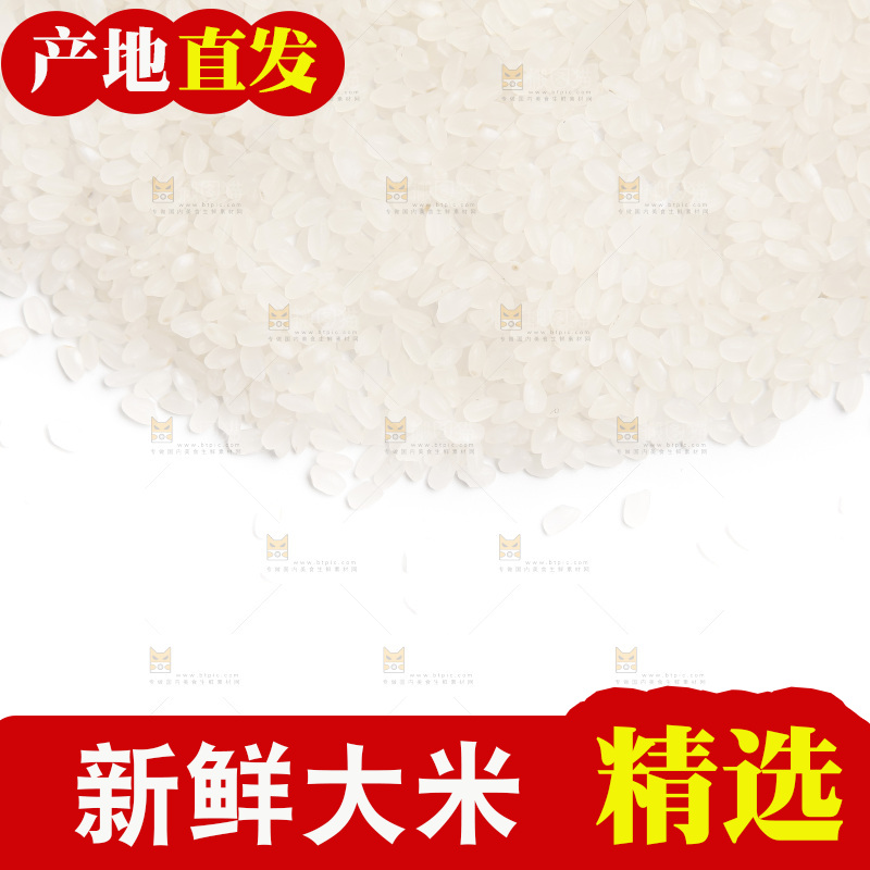 白底上的大米