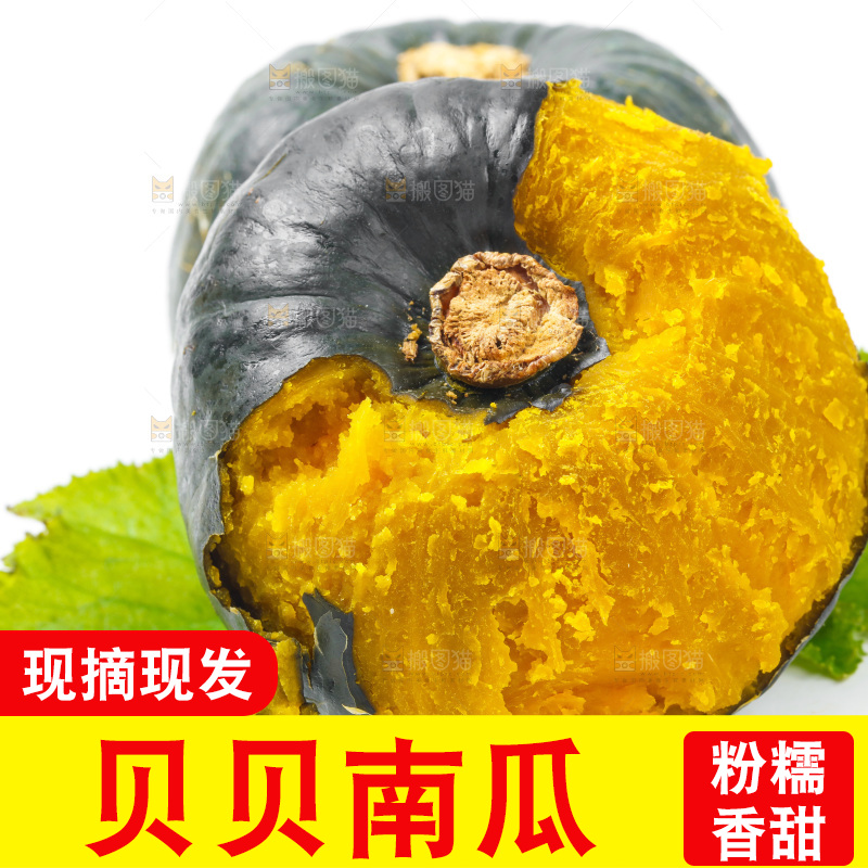 白底上放着贝贝小南瓜