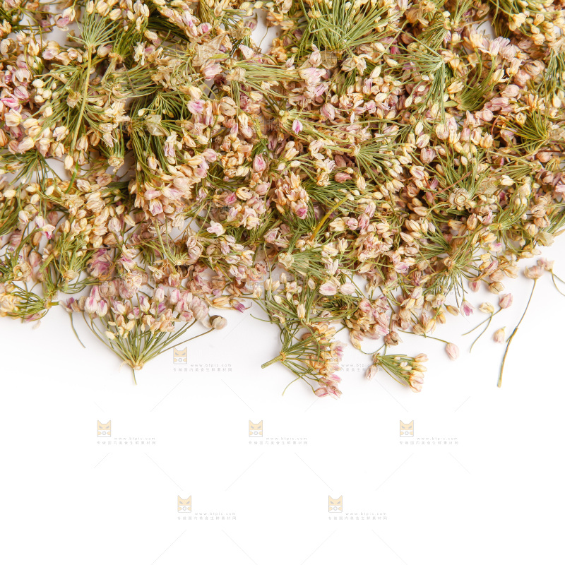 白底上摆放着干扎蒙花