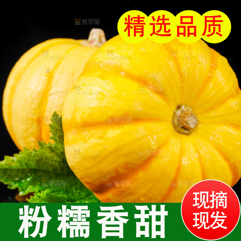 黑底上摆放着金银桔南瓜