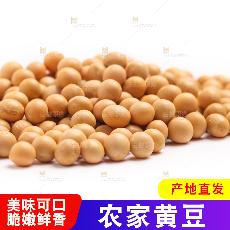 白底上放着黄豆