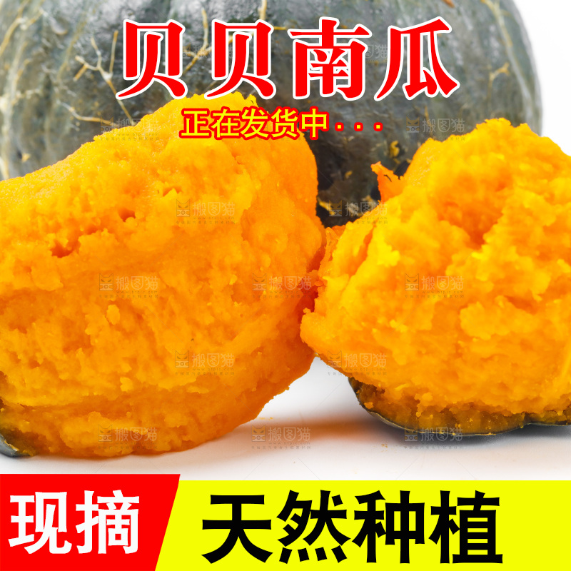 白底上摆放着板栗南瓜