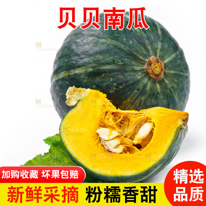 白底上摆放着绿贝贝南瓜