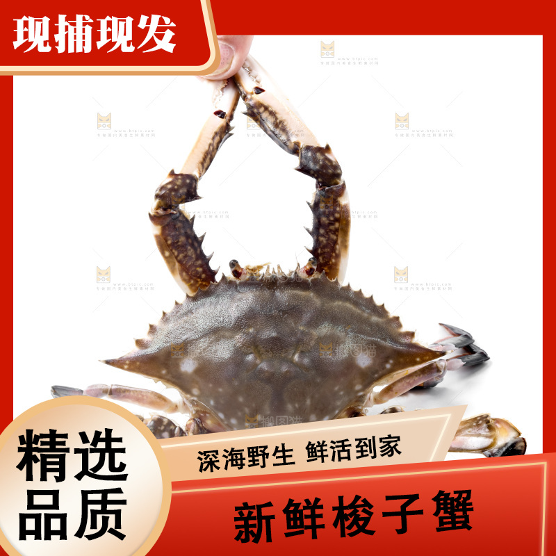 手里拿着螃蟹